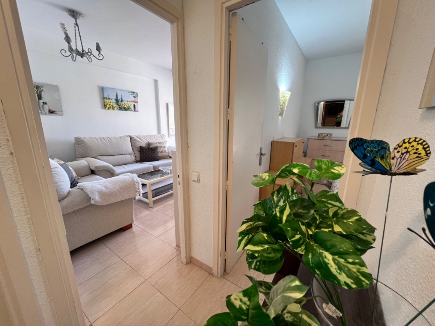 Petit Appartement en location à Zona Sohail (Fuengirola)